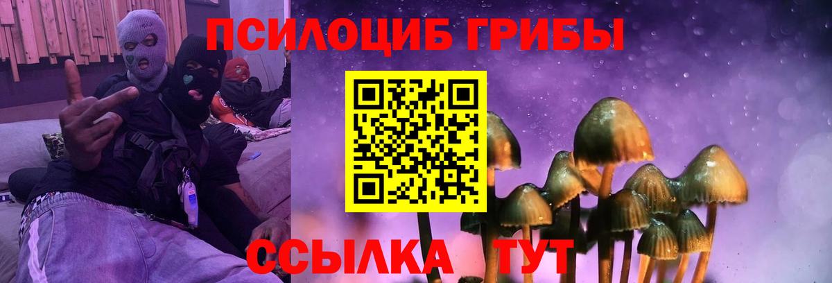 Галлюциногенные грибы Magic Shrooms Муром